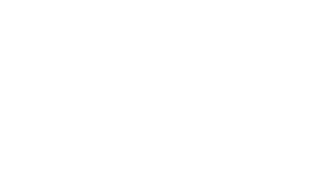 Spirit Of The Dachshund